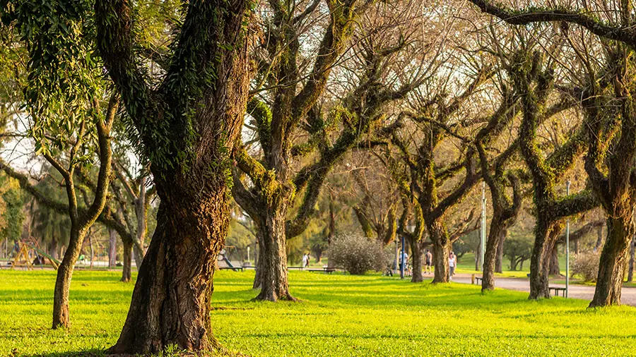 Parque da Marinha do Brasil